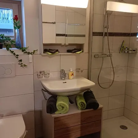 Lischa 3- Og Sued By Interhome Lägenhet Fiesch